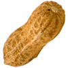 the peanut | la cacahuète