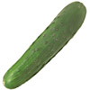 Gurke - cucumber - concombre - cetriolo - pepino