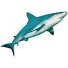 Haifisch - shark - requin - squalo - tiburn