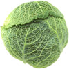 cabbage | chou