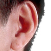 Ohr - ear - oreille - orecchio - oreja