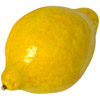the lemon | le citron