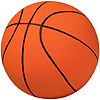 the basketball | le basket-ball