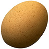 the egg | l' [m.] oeuf