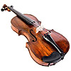 the violin | le violon