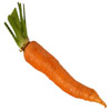 the carrot | la carotte